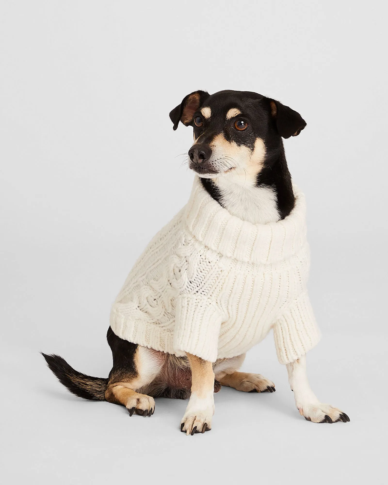 Cable Knit Dog Sweater