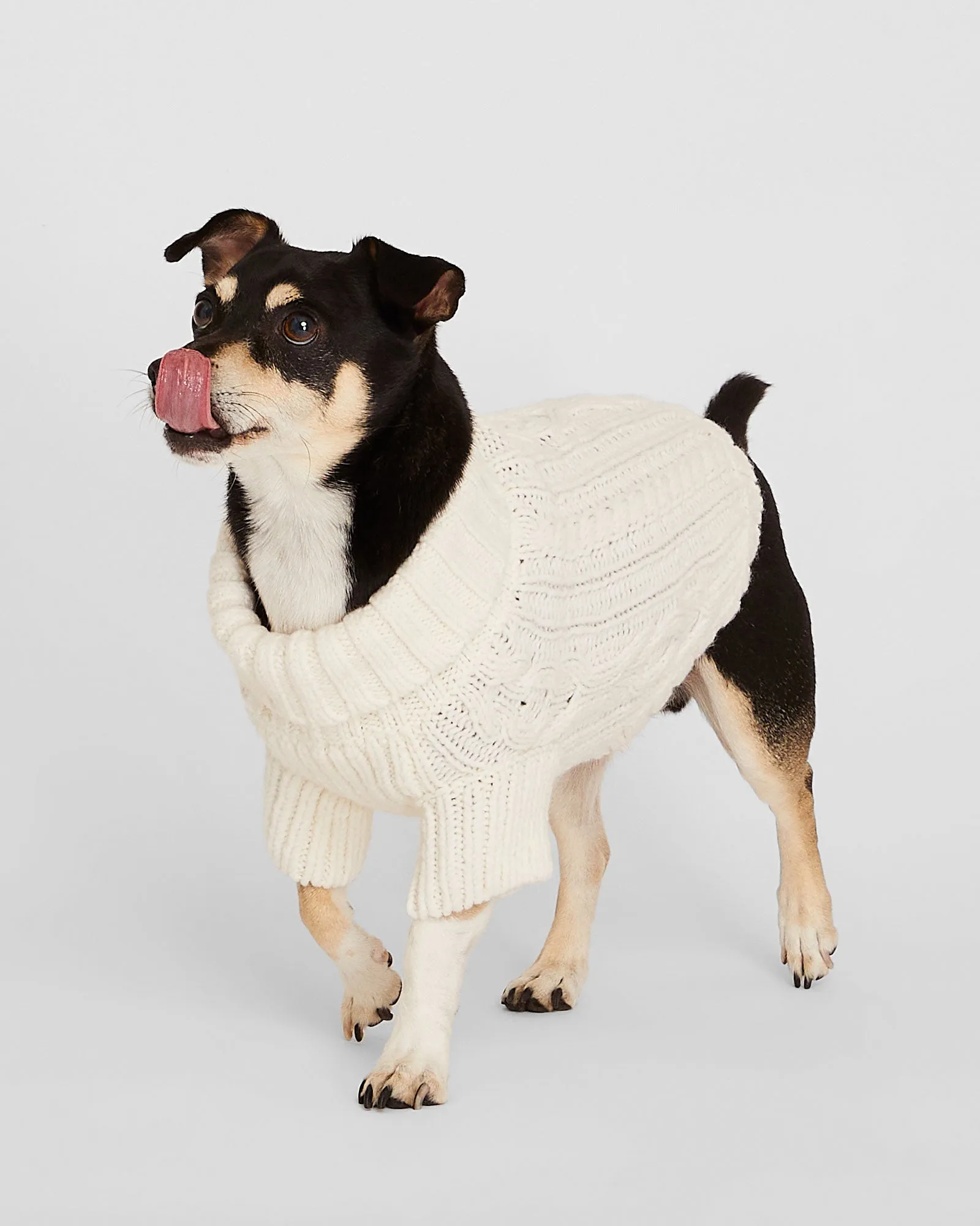 Cable Knit Dog Sweater
